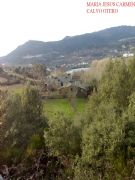 A Granxa con Petn al fondo